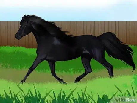 Image titled Buy a Trail Horse Step 14