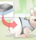 Make Your Rabbit a Leash