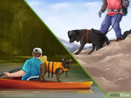 Image titled Give Your Small Dog Enough Exercise Step 8