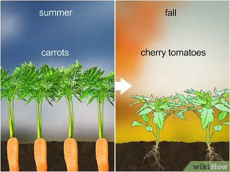 Image titled Kill Nematodes Step 7