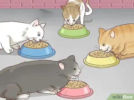 Image titled Encourage Group Scent in Multi‐Cat Households Step 12