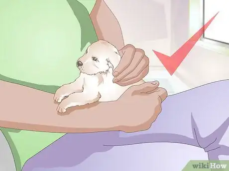 Image titled Get a Litter of Puppies to Sleep Step 3