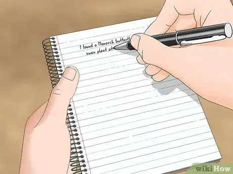 Image titled Watch Insects Step 15