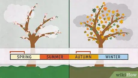 Image titled Grow Garlic Step 1