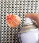 Clean and Polish Seashells