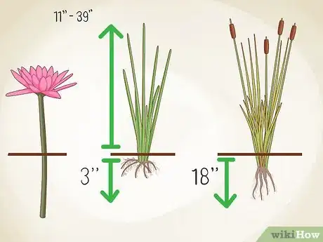 Image titled Grow an Edible Pond Step 11