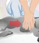 Perform CPR on a Dog