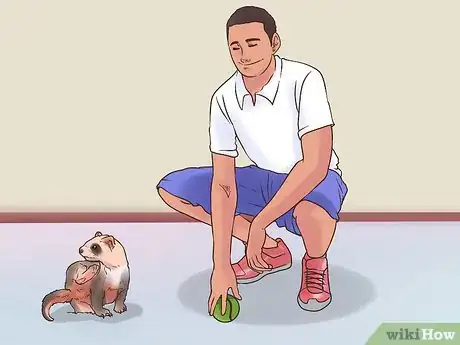 Image titled Play Fetch with a Ferret Step 11