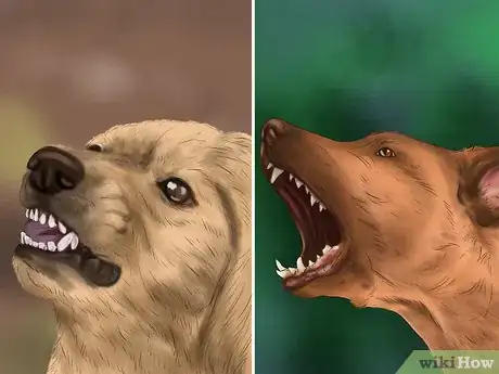 Image titled Approach an Unfamiliar Dog Step 15