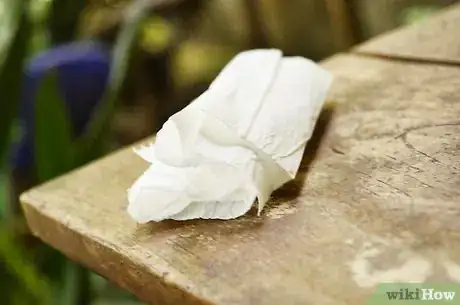 Image titled Start Seedlings in Toilet Paper Rolls Step 4