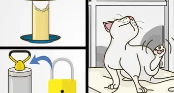 Deal with Attention Seeking Behavior in Cats