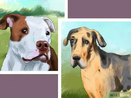 Image titled Make Your Dog Get Along With Other Dogs Step 2