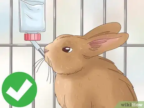 Image titled Treat Diarrhea in Rabbits Step 4