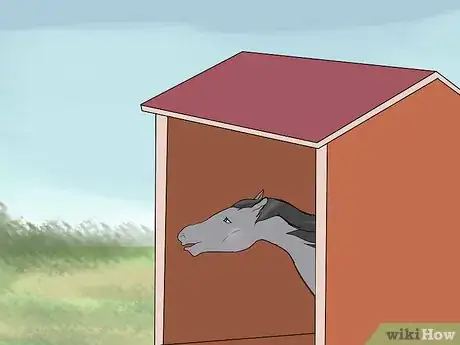 Image titled Take Care of a Horse in Hot Weather Step 7