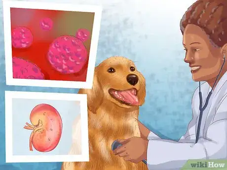 Image titled Make Your Home Safer for a Senior Dog Step 12