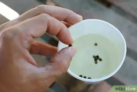 Image titled Grow Herb Gardens from Seed Step 1