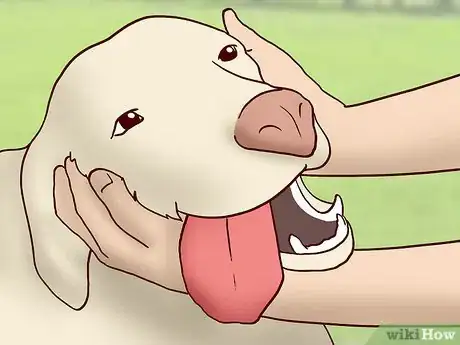 Image titled Choose the Right Dog for Your Family Step 11