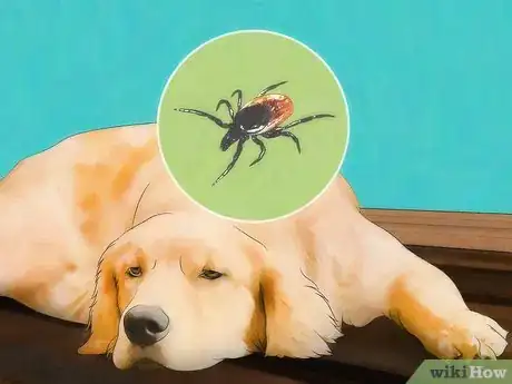 Image titled Identify Canine Tick Problems Step 1