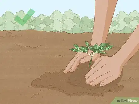 Image titled Plant Trees to Fight Climate Change Step 9