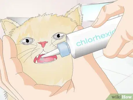 Image titled Prevent Feline Dental Disease Step 6