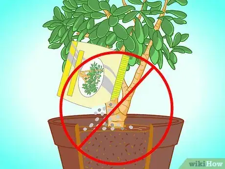 Image titled Transplant a Jade Plant Step 15