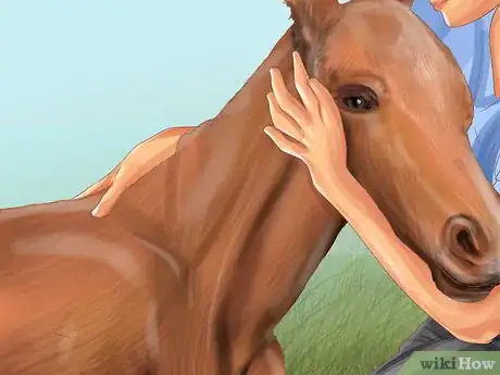 Image titled Vaccinate Newborn Foals Step 11