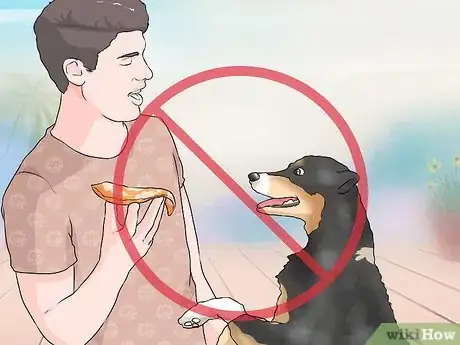 Image titled Handle Dog Begging for Food Step 1