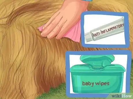 Image titled Help a Dog with Sleep Incontinence Step 15