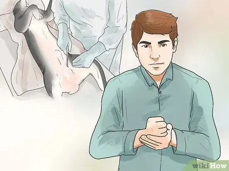 Image titled Prevent Dog Cancer Step 4