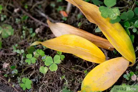 Image titled Avoid Creating Trash Step 10