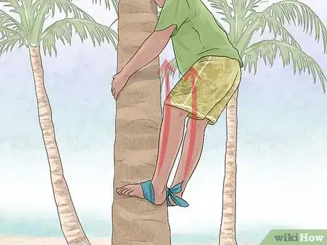 Image titled Free Climb a Tree Step 19