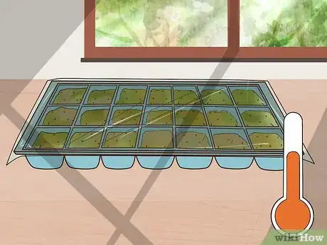Image titled Grow Flowers from Seed Step 6