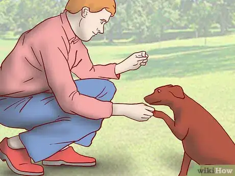 Image titled Maintain Social Skills in Older Dogs Step 11