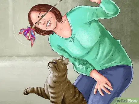 Image titled Find Your Cat's Preferred Play Style Step 2