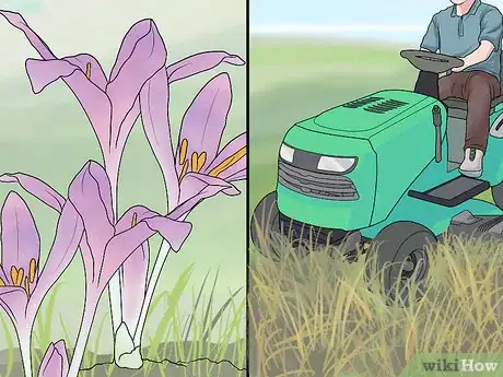 Image titled Plant Bulbs in Grass Step 22