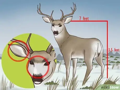Image titled Hunt Mule Deer Step 1