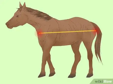Image titled Measure for a Horse Blanket Step 4