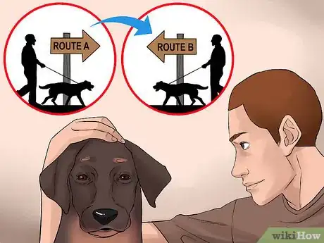 Image titled Become Close With Your Dog Step 10