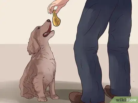 Image titled Treat Canine Kidney Disease Step 2