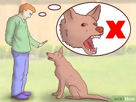 Image titled Maintain Social Skills in Older Dogs Step 13