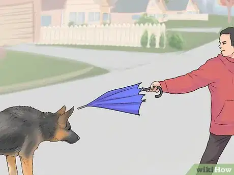 Image titled Tell if a Dog Is Going to Attack Step 16