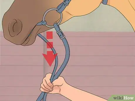 Image titled Stop a Horse Rearing Step 7