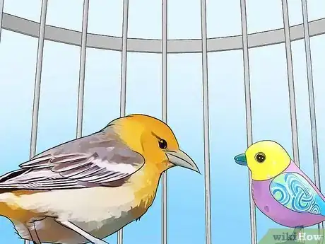Image titled Look After Pet Birds Step 6