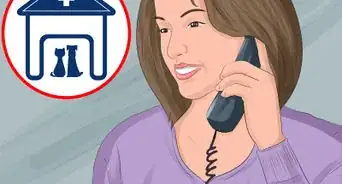 Have a Successful Visit to the Vet