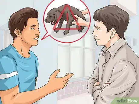 Image titled Help Shut Down Puppy Mills Step 15