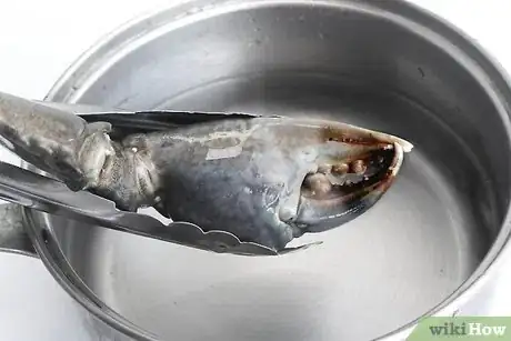 Image titled Cook Stone Crab Claws Step 4