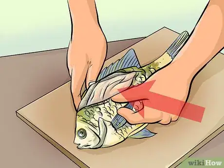 Image titled Clean Sunfish Step 5