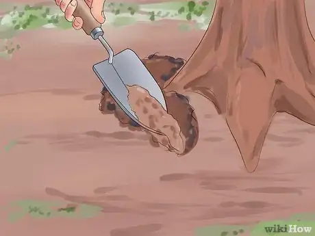 Image titled Care for a Weeping Cherry Tree Step 4