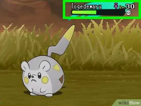 Image titled Catch Togedemaru in Pokémon Sun and Moon Step 5