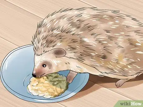 Image titled Care for African Pygmy Hedgehogs Step 5